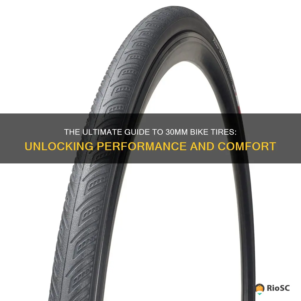 best 30mm bike tires