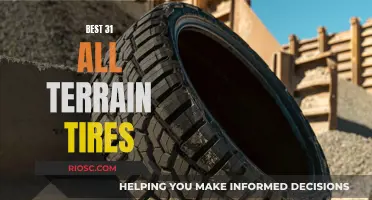 Rugged Adventures: Exploring with the Top 31 All-Terrain Tires