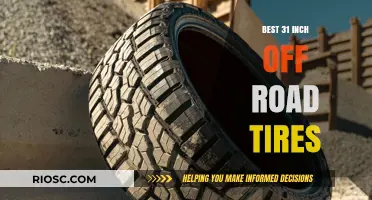 Top-Rated 31-Inch Off-Road Tires for Ultimate Terrain Dominance