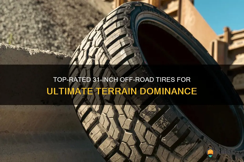 best 31 inch off road tires