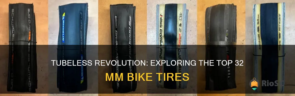best 32 mm tubeless bike tires
