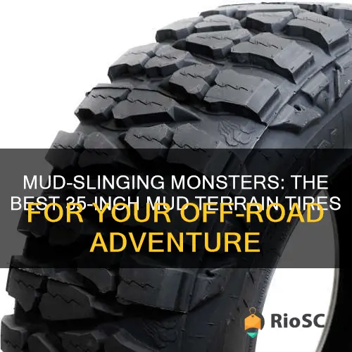 best 35 inch mud terrain tires