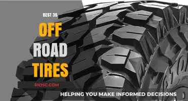 Top Off-Road Tire Picks: 35 Best Options for Rugged Terrain Dominance