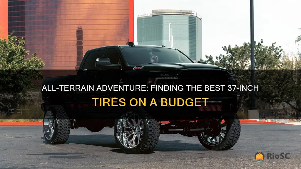 best 37 inch all terrain tires for the price