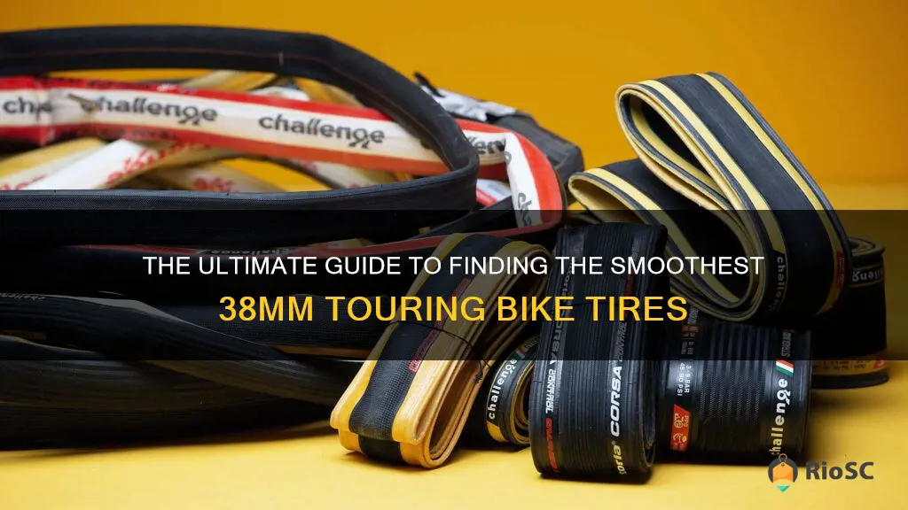 best 38mm bike tires supple touring