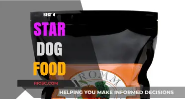 Top-Rated 4-Star Dog Foods: A Comprehensive Guide for Pet Owners