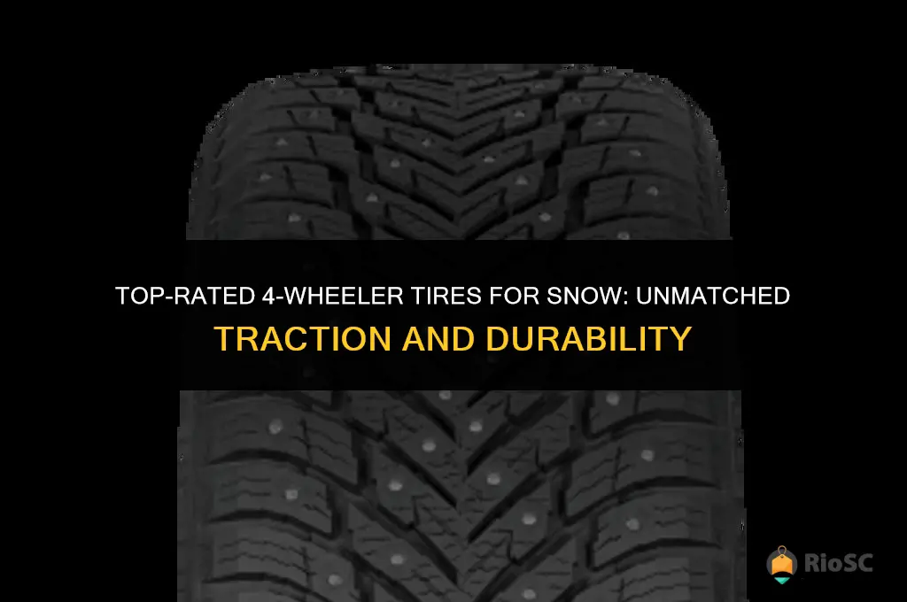best 4 wheeler tires for snow