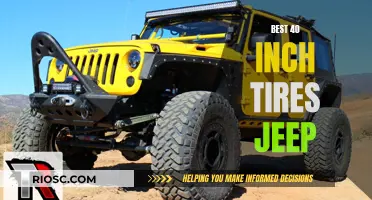 Jeep Owners Seek the Ultimate Ride with 40-Inch Tires