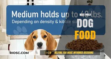 Optimal Nutrition for Your 40-Pound Pup: A Guide to the Best Dog Food Choices