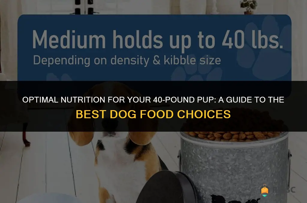 best 40lb dog food
