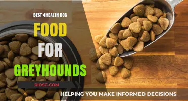 Optimal Nutrition for Greyhounds: Top Health-Focused Dog Food Choices