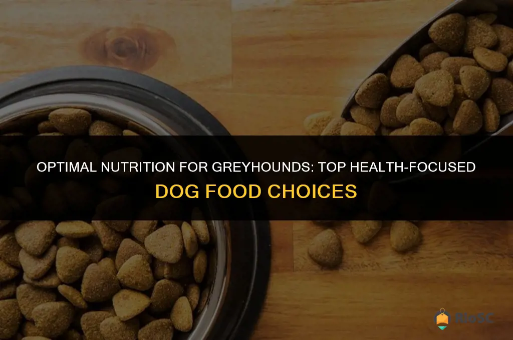 best 4health dog food for greyhounds