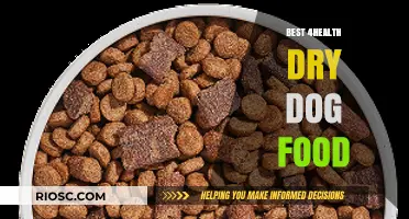 Top Picks for Health-Focused Dry Dog Food: A Comprehensive Guide