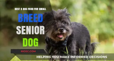 Top Picks for Your Senior Small Breed: The Best Dog Foods to Nourish Your Aging Companion