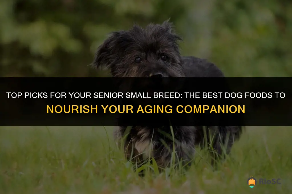 best 5 dog food for small breed senior dog