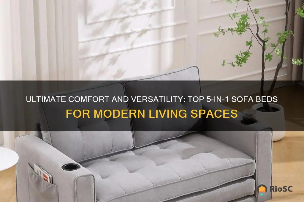 best 5 in 1 sofa bed