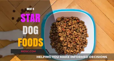 Top-Rated Dog Foods: A Guide to the Best 5-Star Options for Your Furry Friend