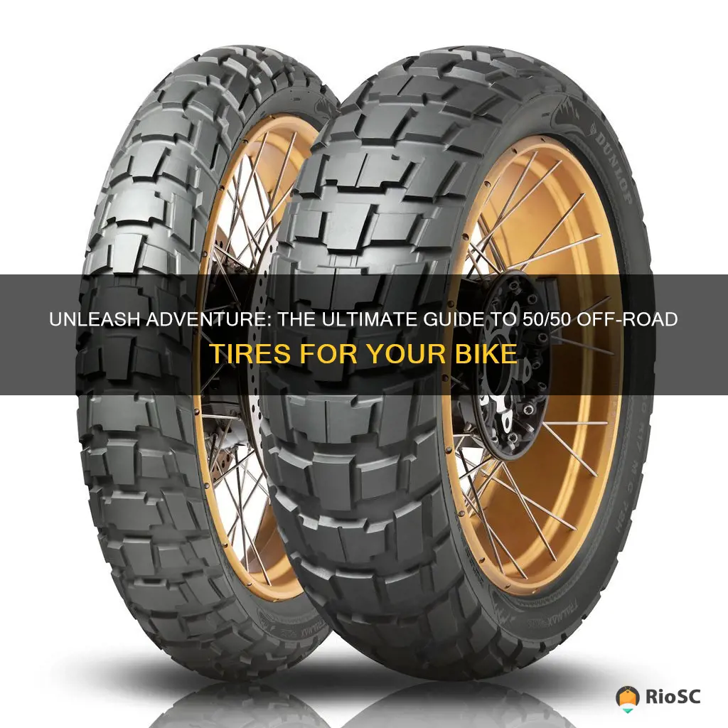 best 50 50 on off road tires advanture bike