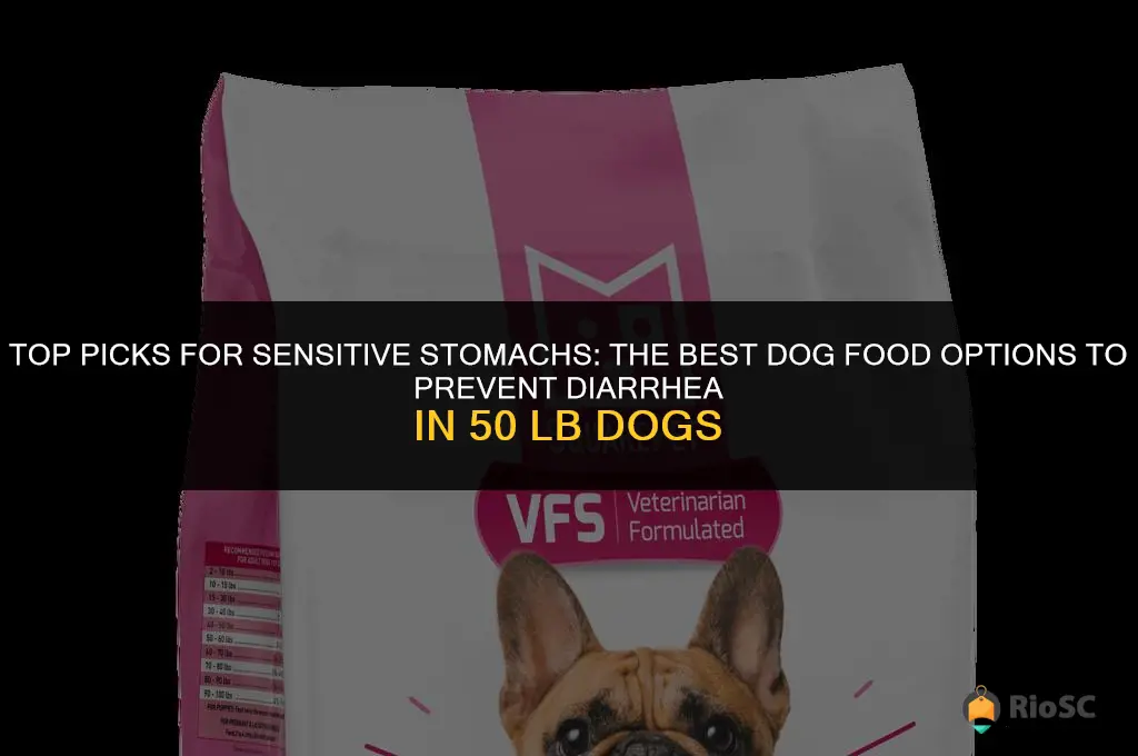 best 50 lb dog food to not cause diarrhea