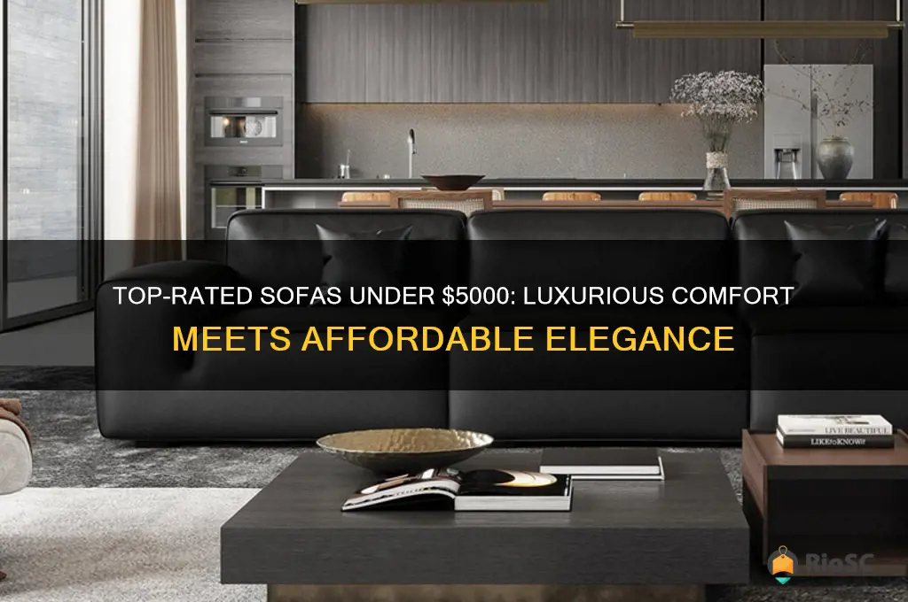 best 5000 sofa
