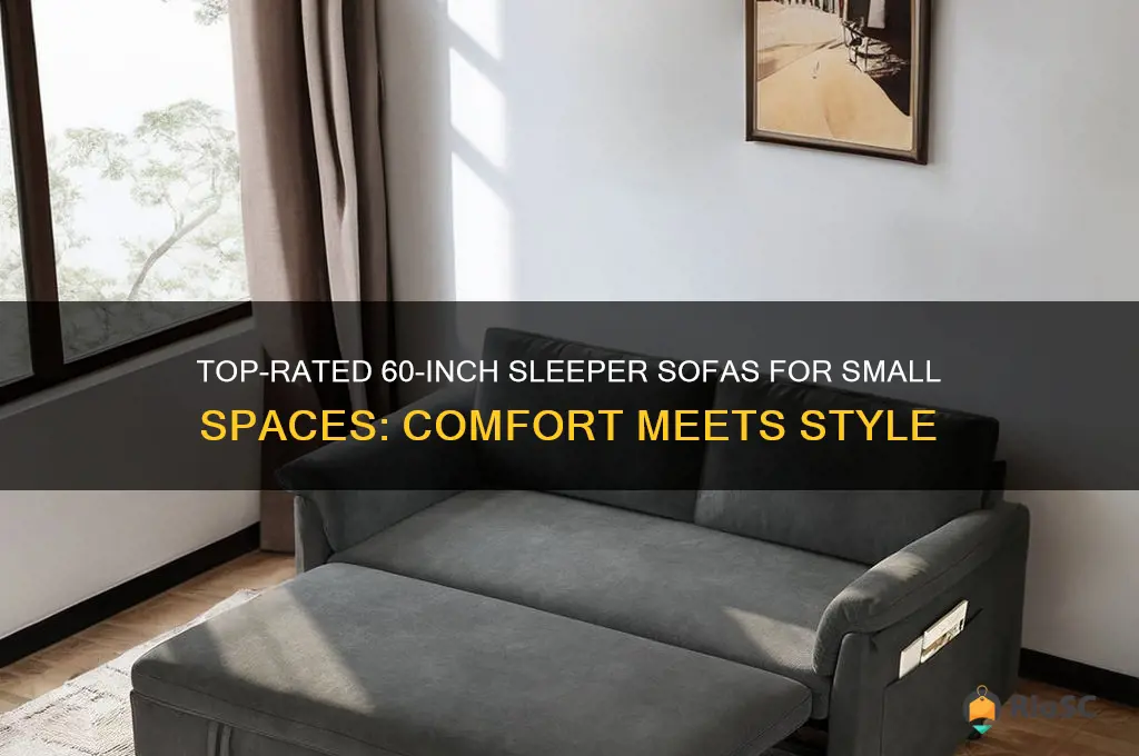 best 60 inch sleeper sofa