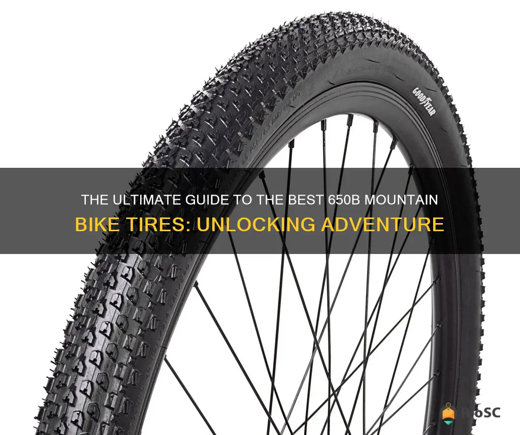 best 650b mountain bike tires