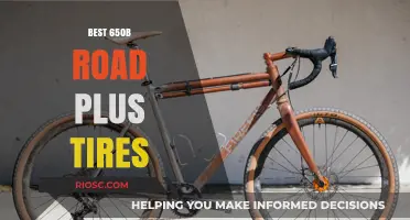 Top Road Plus Tire Picks: Enhancing Your Ride with the Best 650b Options