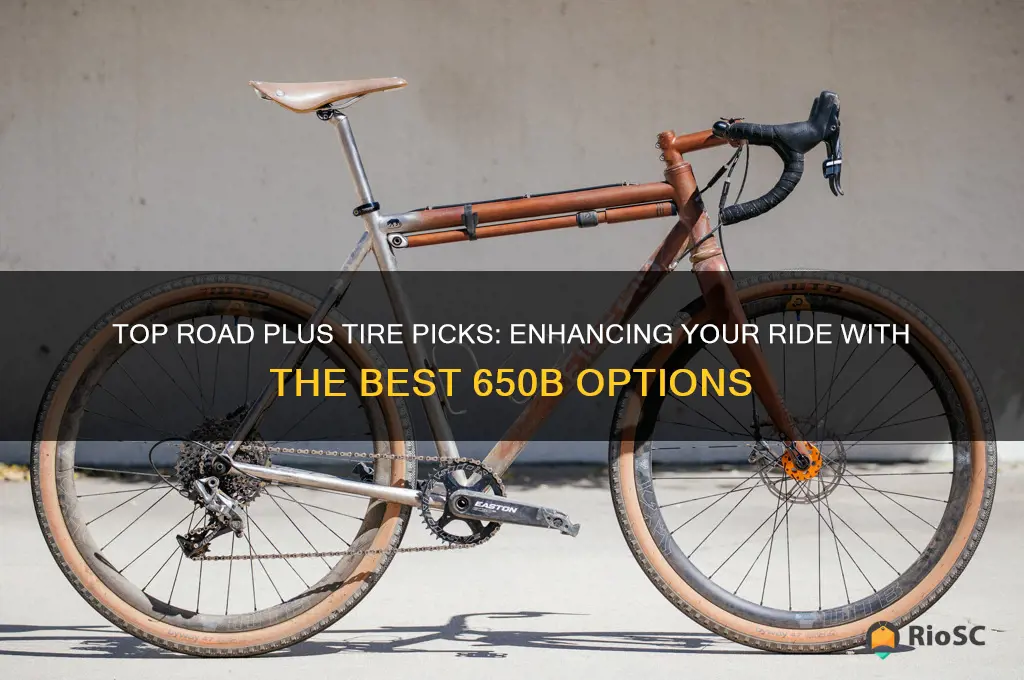 best 650b road plus tires
