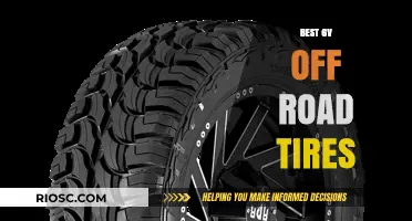 Top-Rated 6V Off-Road Tires for Ultimate Terrain Dominance
