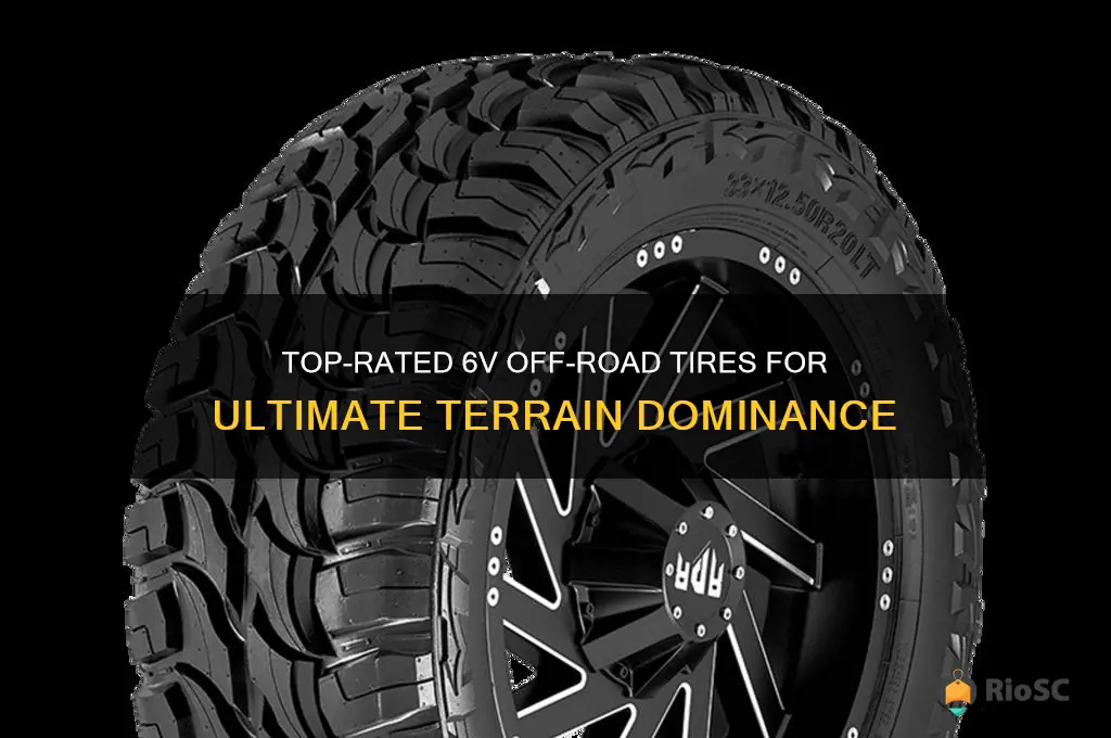 best 6v off road tires