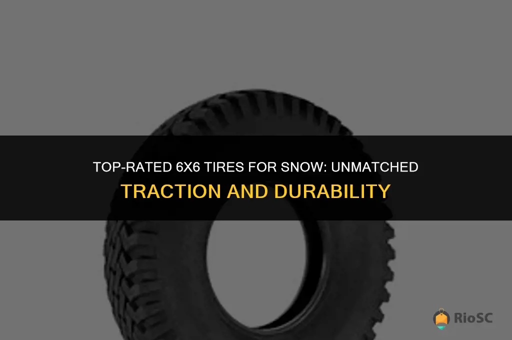 best 6x6 tires for snow