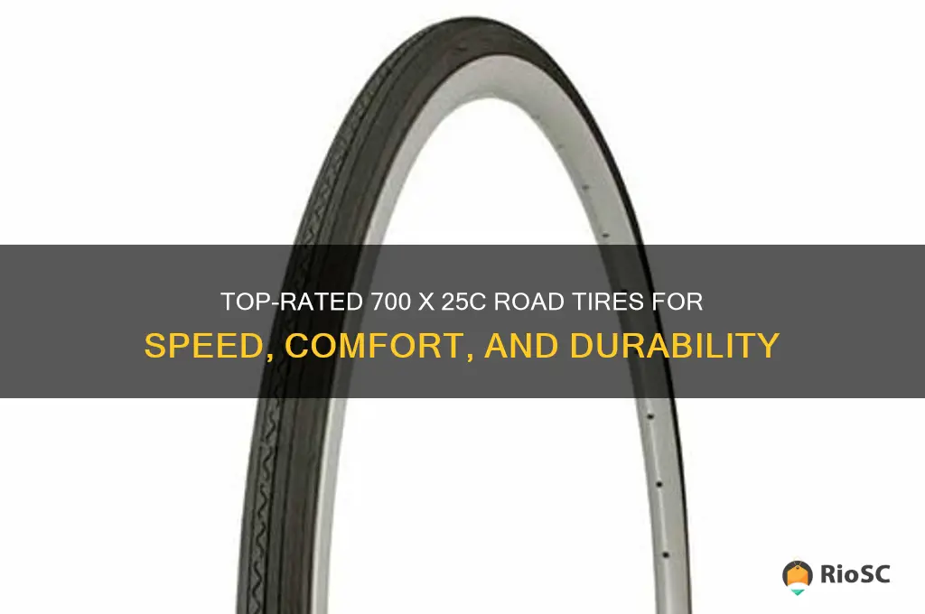 best 700 x 25c road tires