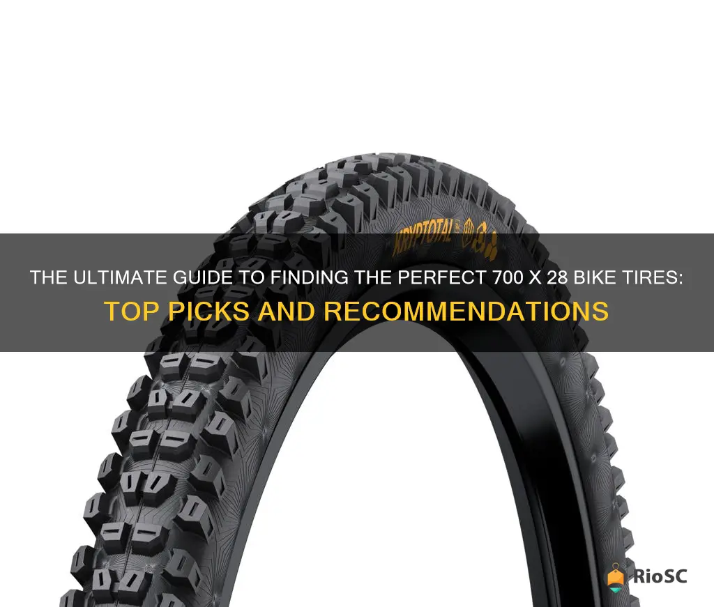 best 700 x 28 bike tires