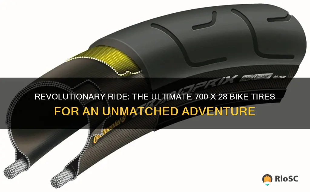best 700 x 28 bike tires