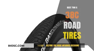 Top-Rated 700 x 38c Road Tires for Enhanced Performance and Comfort