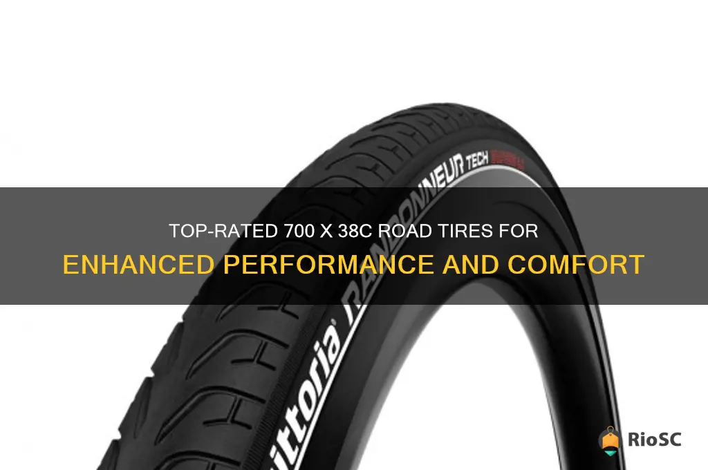 best 700 x 38c road tires