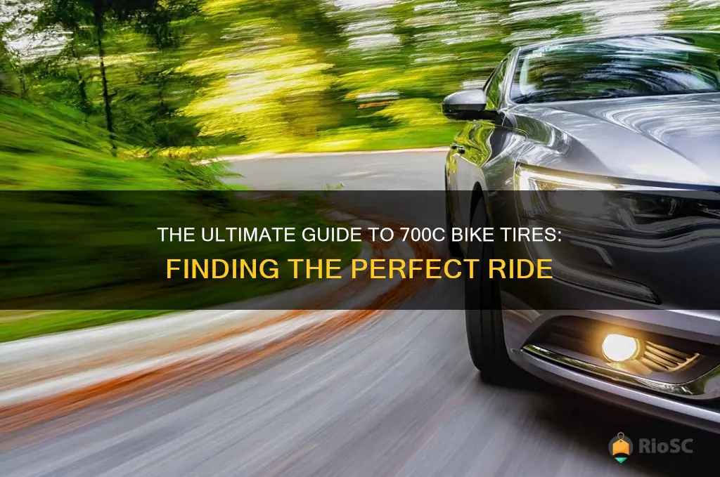 best 700c bike tires