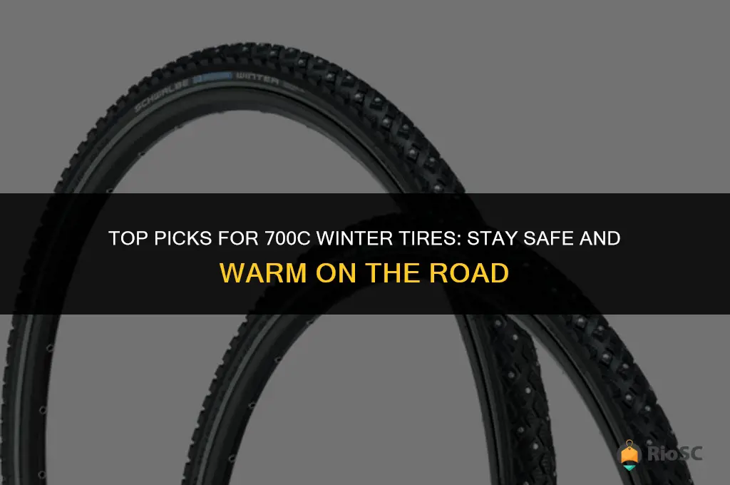 best 700c winter tires
