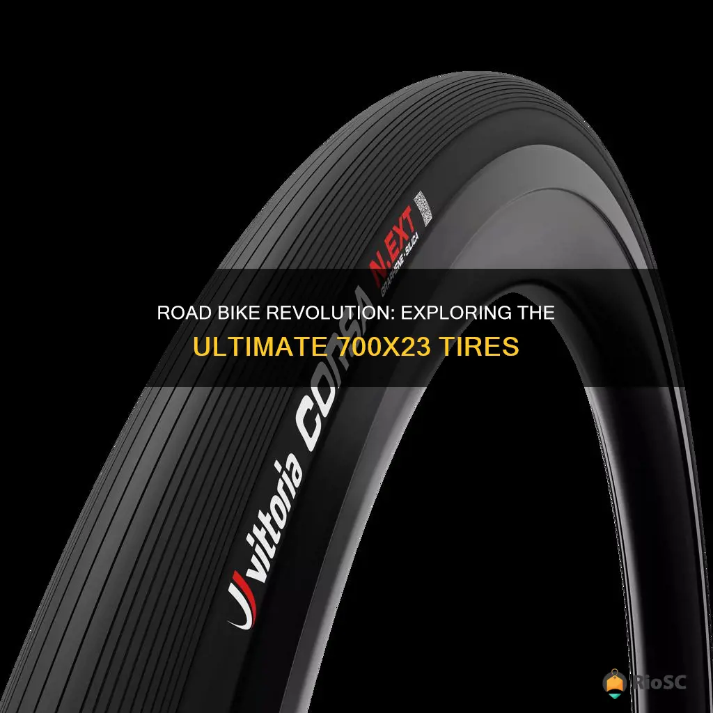 best 700x23 road bike tires