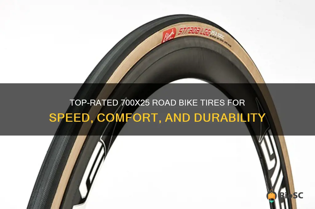 best 700x25 road bike tires