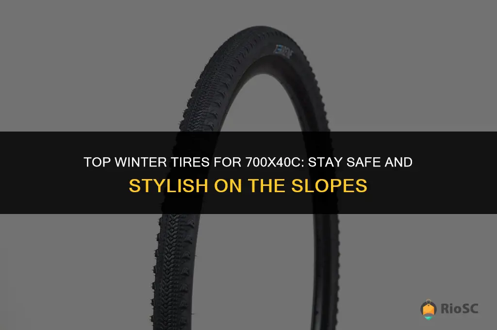 best 700x40c tires winter