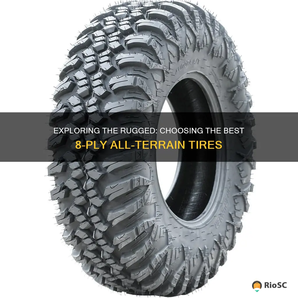 best 8 ply all terrain tires