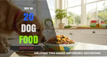 Top-Rated 80/20 Dog Food: Premium Nutrition for Your Furry Friend