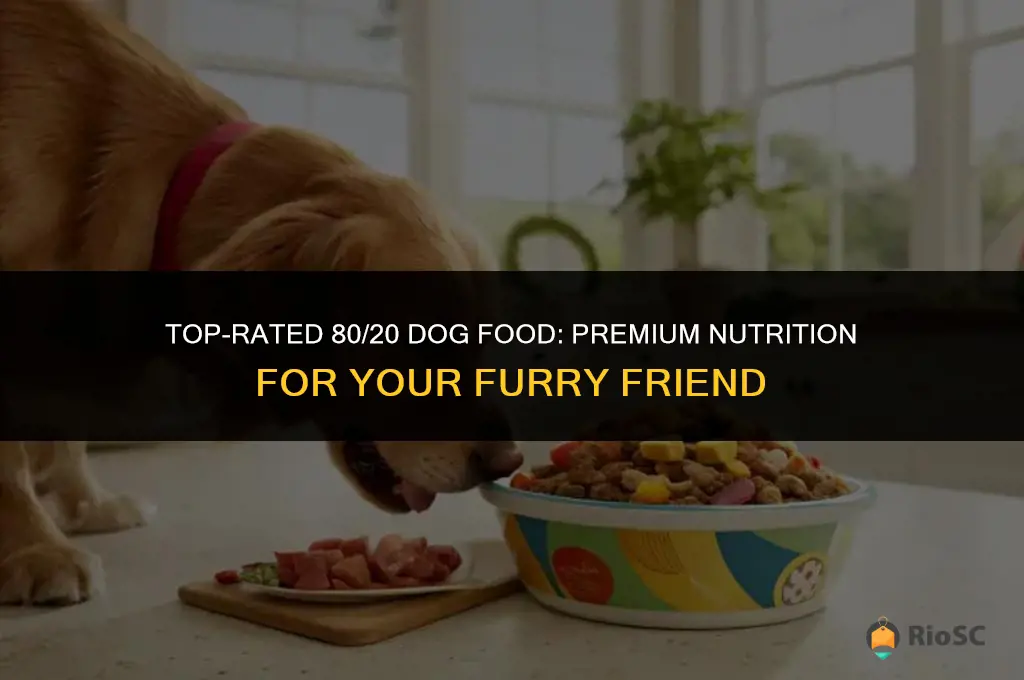 best 80 20 dog food