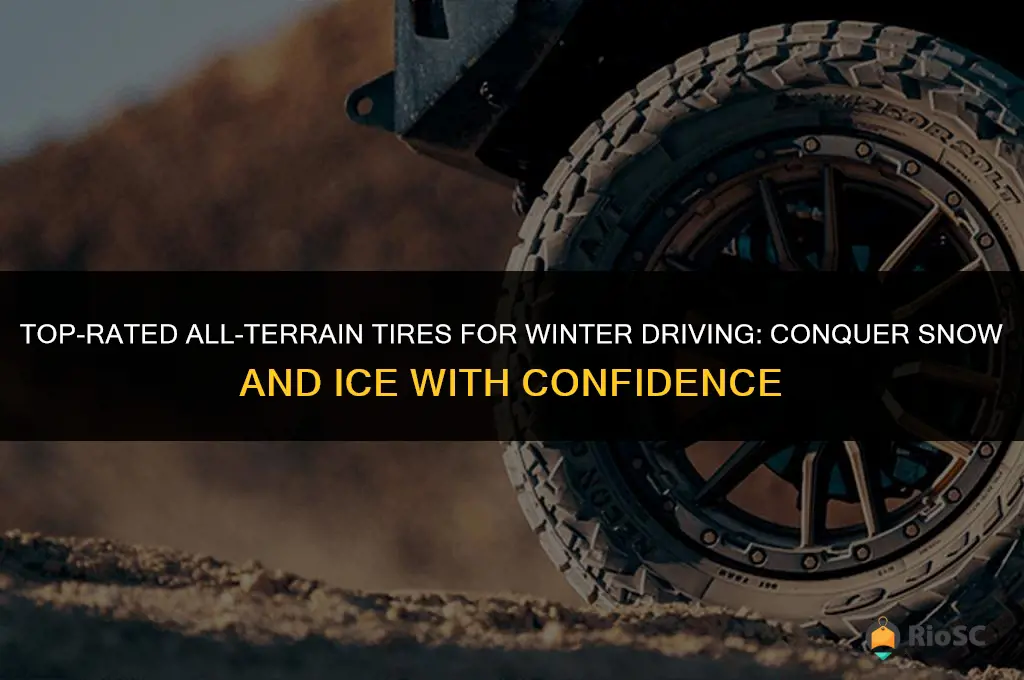 best a t tires for snow