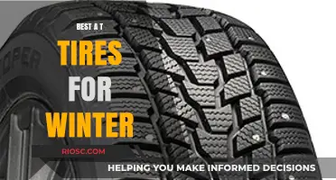 Top Winter Tire Picks: Stay Safe and Warm on the Road