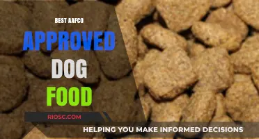 Top AAFCO-Approved Dog Foods: Nutrition and Taste for Your Furry Friend