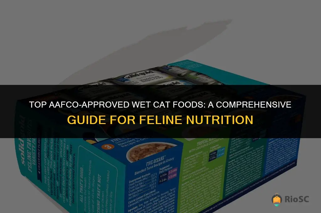 best aafco approved wet cat food