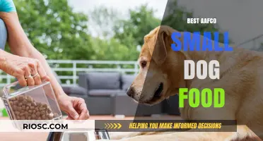 Top AAFCO-Approved Small Dog Food Options for Optimal Nutrition