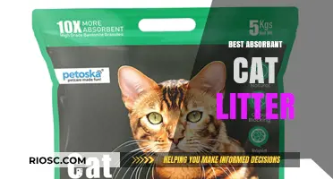 Top Absorbent Cat Litter Options for a Clean and Odor-Free Home